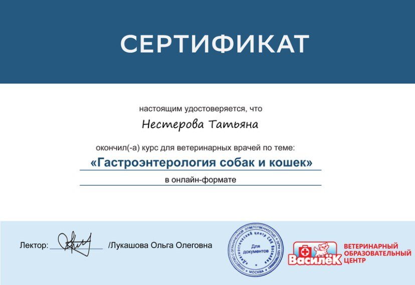 Документ или сертификат
