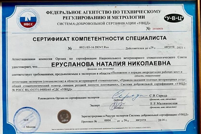 Документ или сертификат