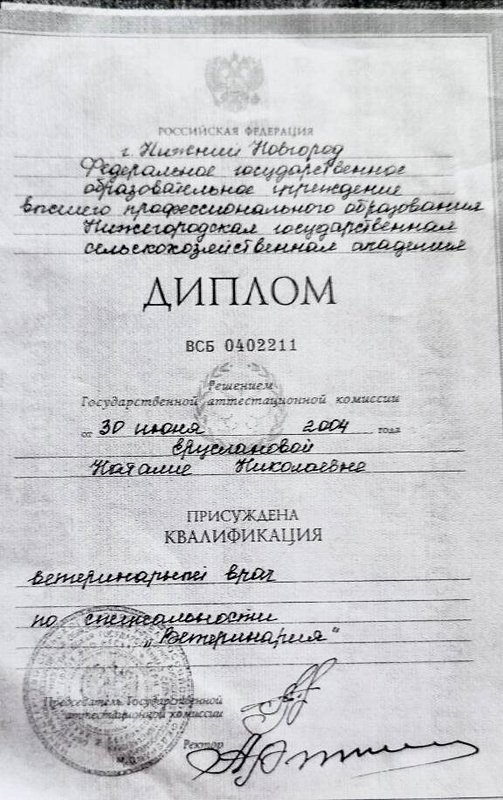 Документ или сертификат