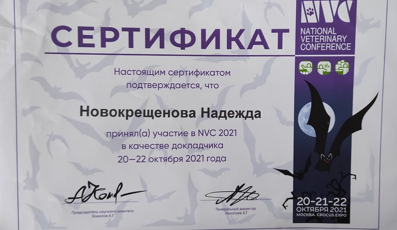 Документ или сертификат