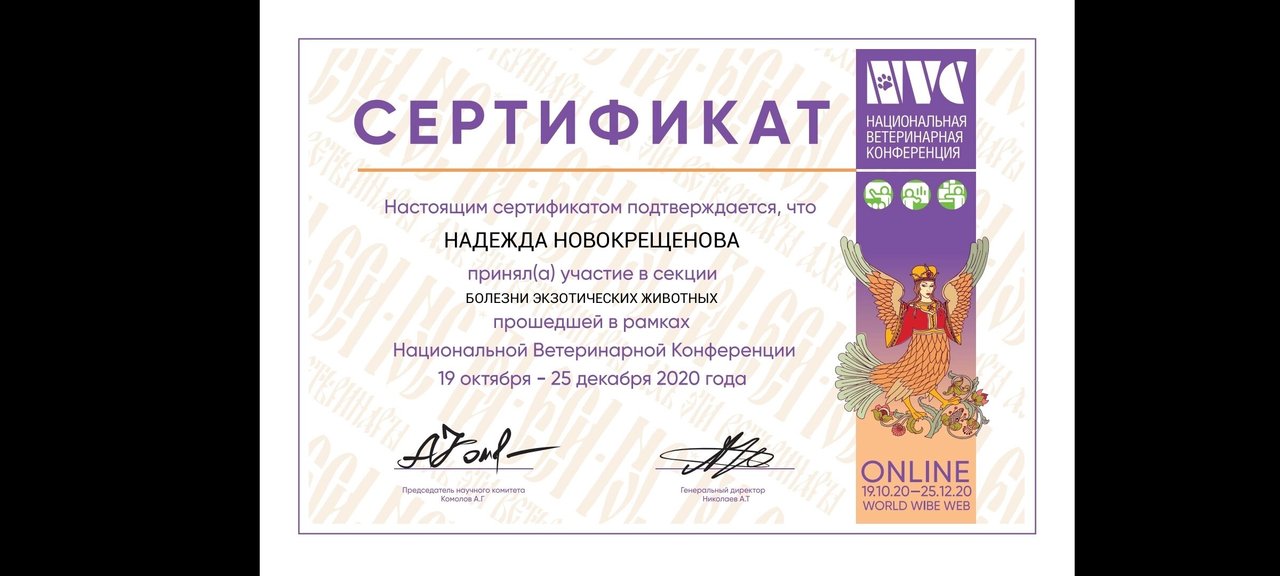 Документ или сертификат