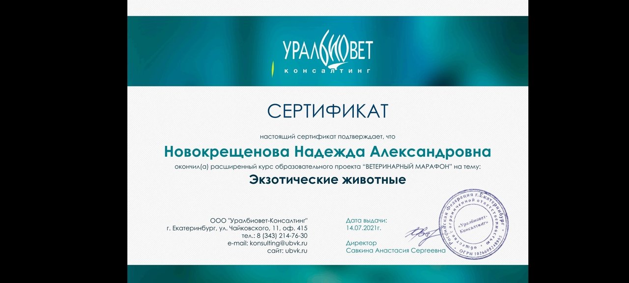 Документ или сертификат
