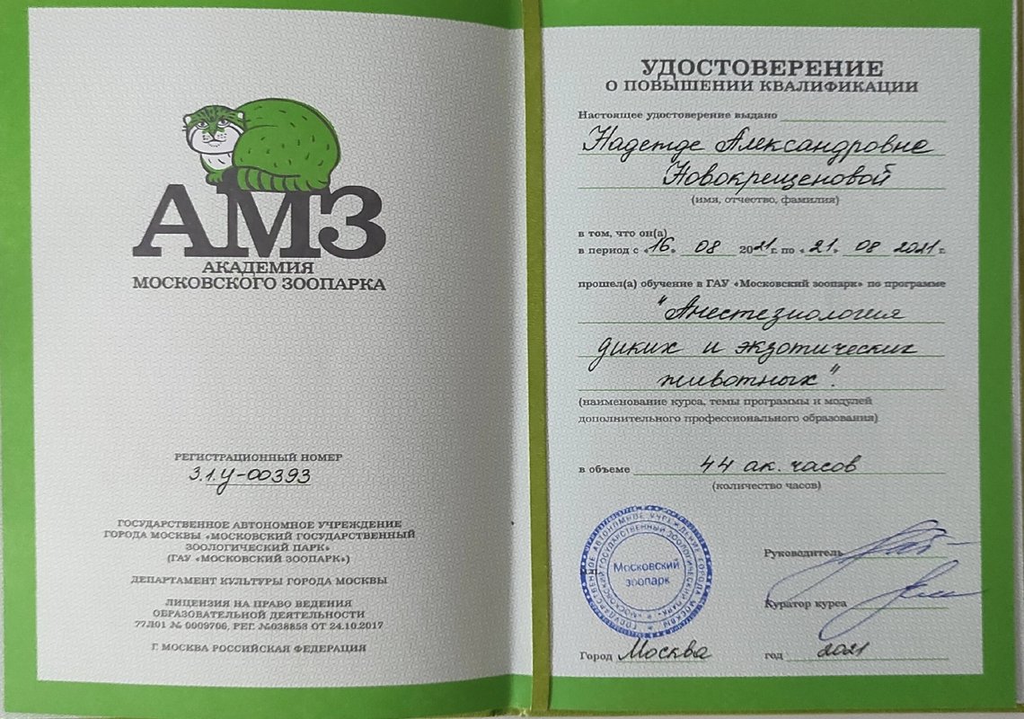 Документ или сертификат