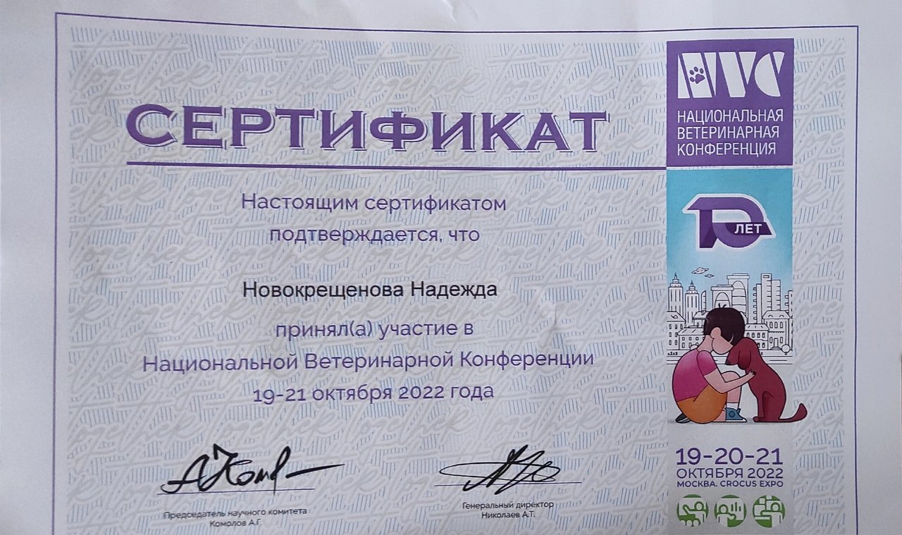 Документ или сертификат