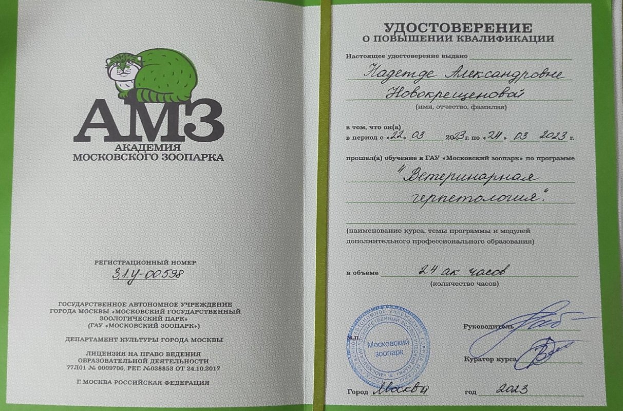 Документ или сертификат
