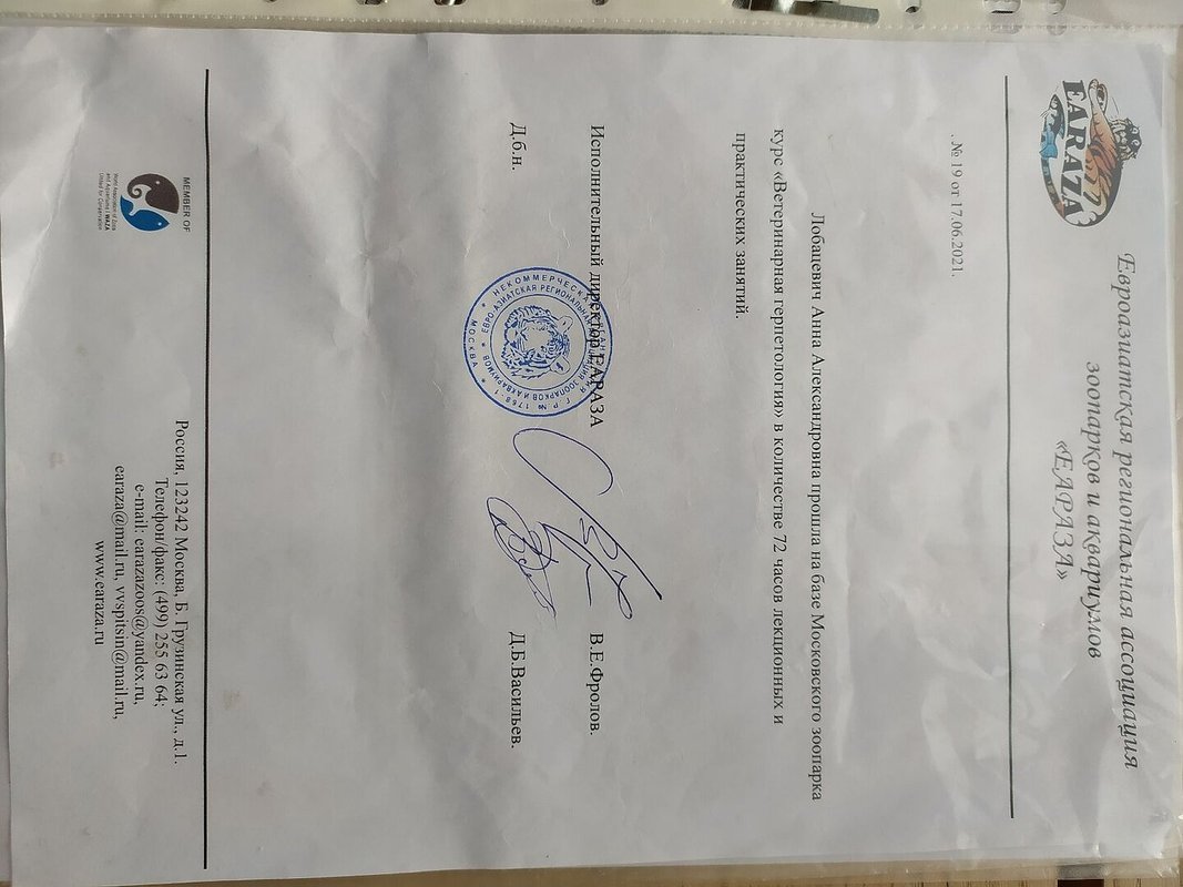 Документ или сертификат