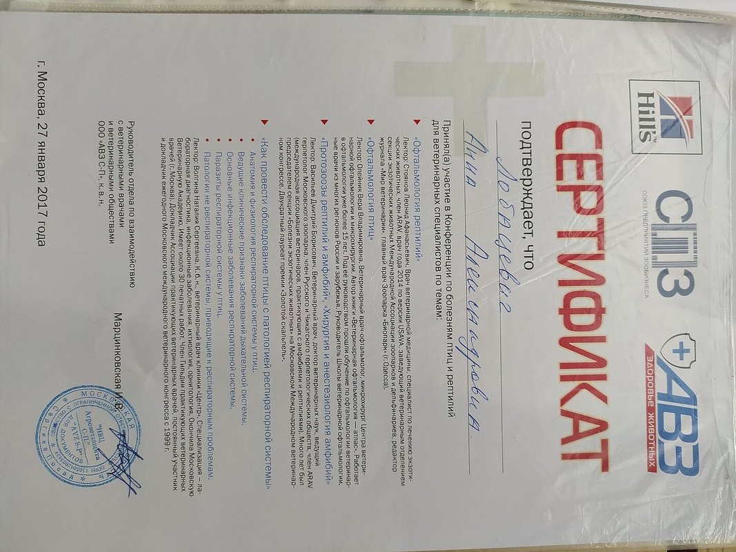 Документ или сертификат