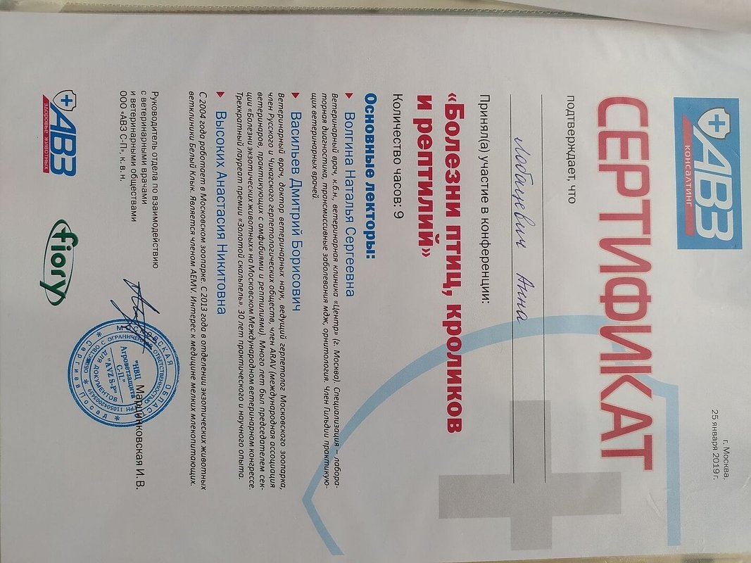 Документ или сертификат