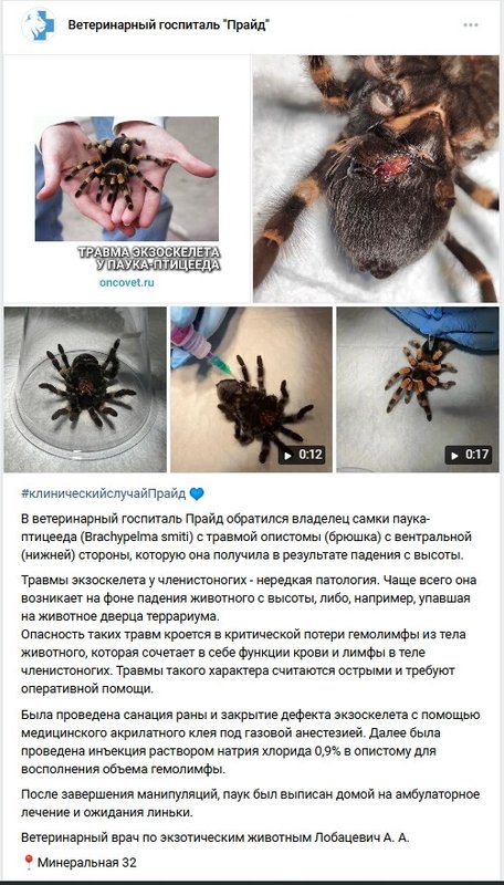 Фото врача