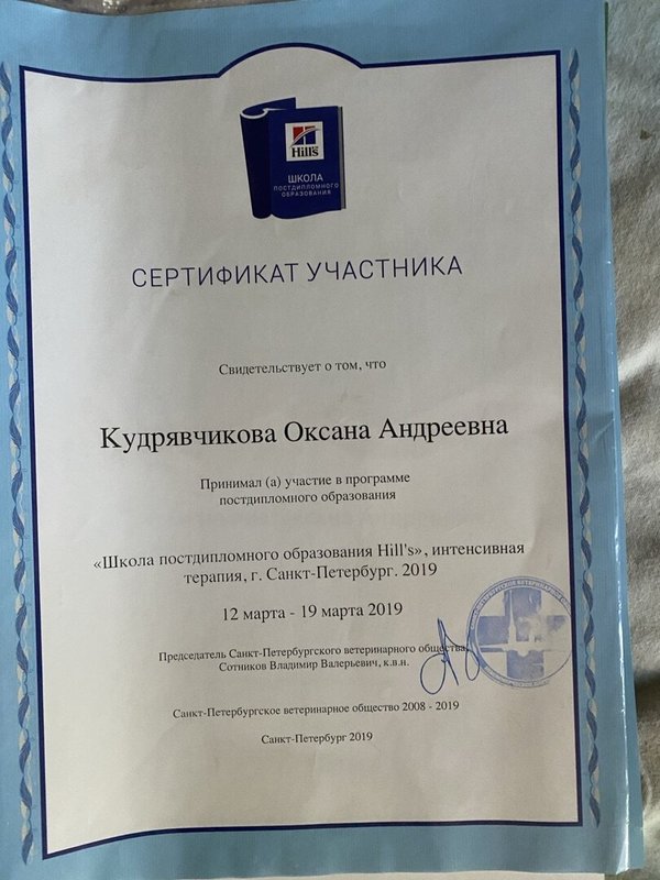 Документ или сертификат