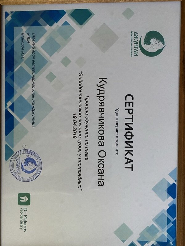 Документ или сертификат