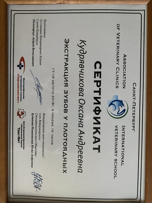 Документ или сертификат