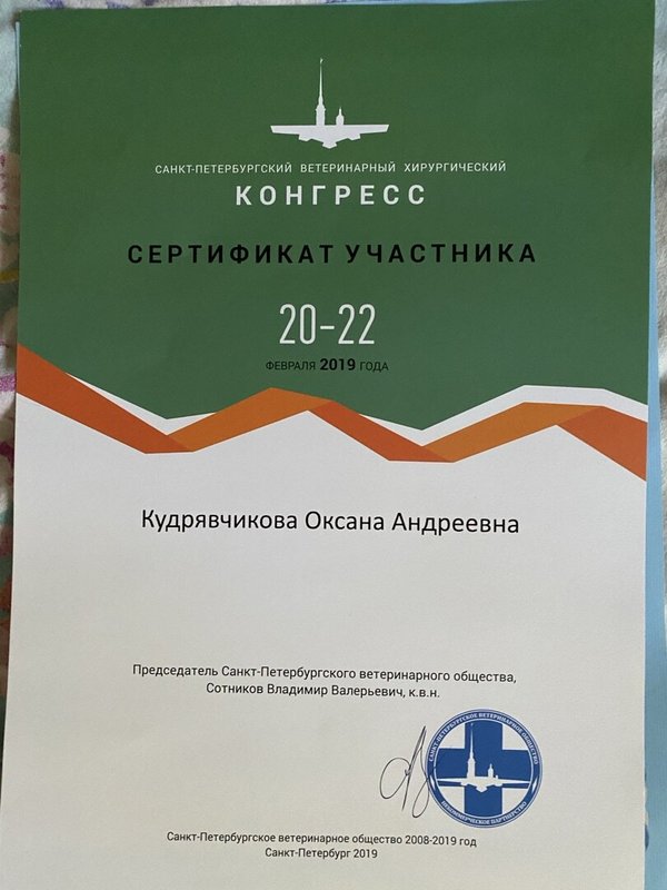 Документ или сертификат