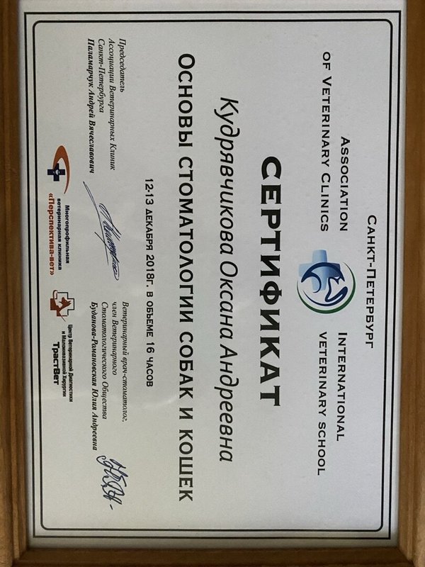 Документ или сертификат