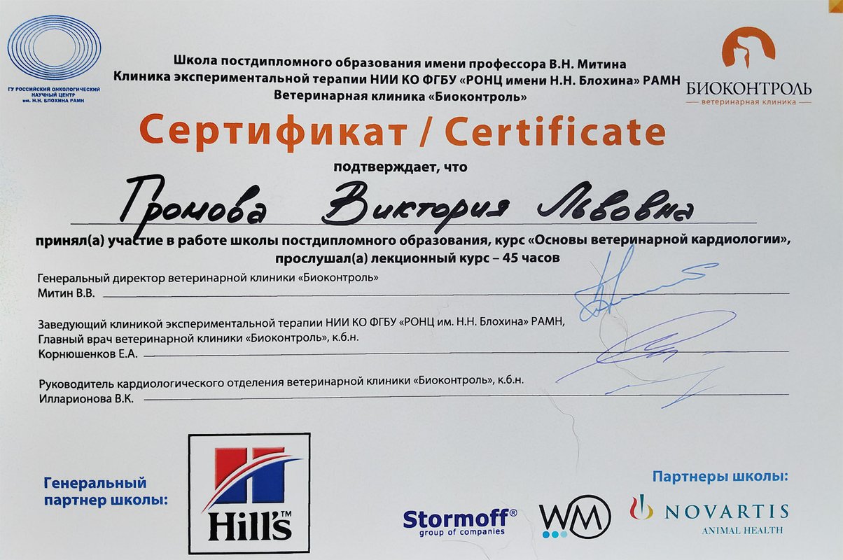 Документ или сертификат