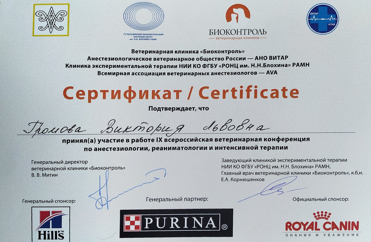 Документ или сертификат