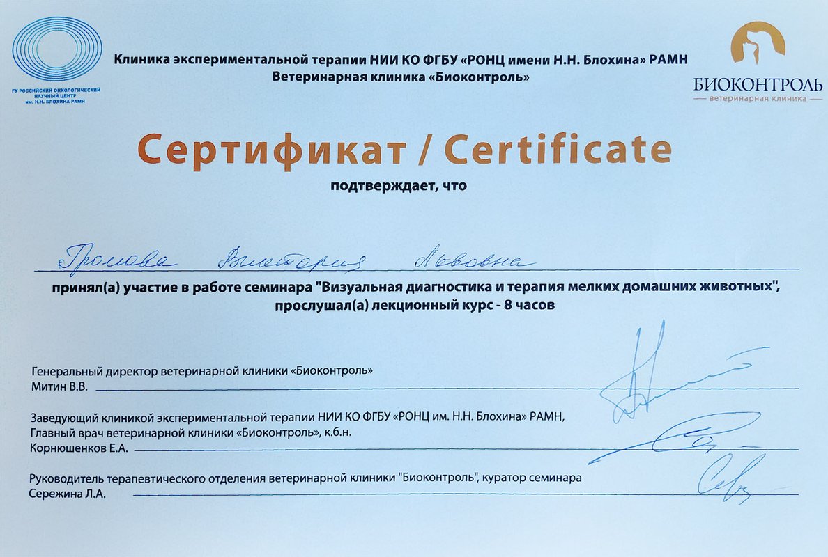 Документ или сертификат