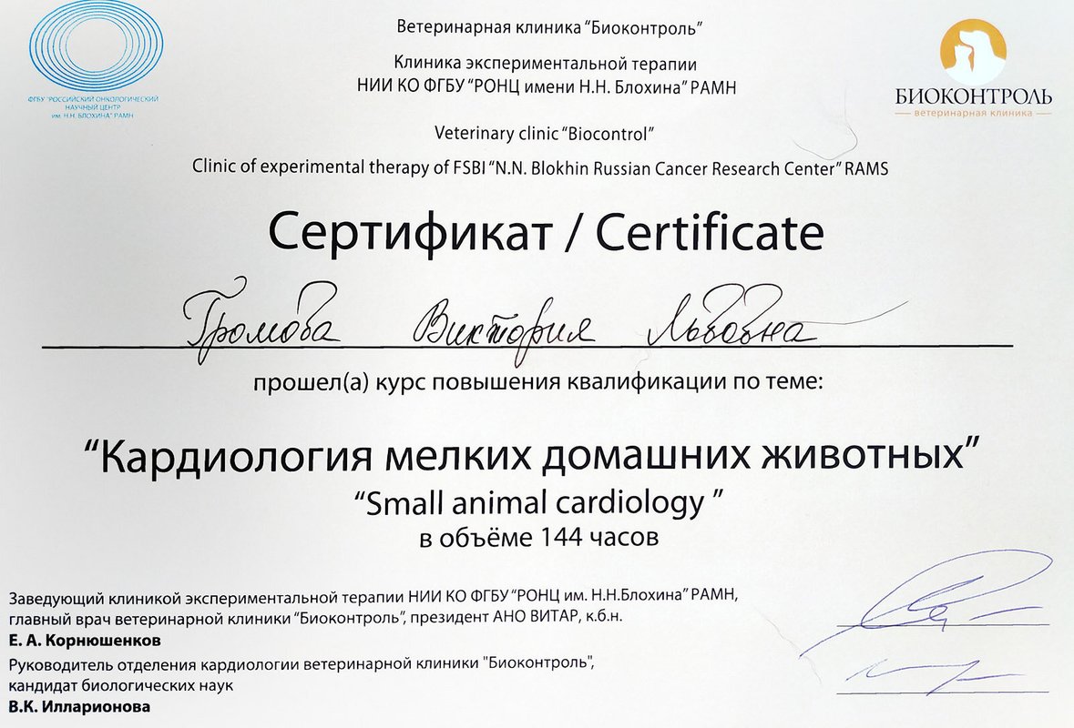 Документ или сертификат