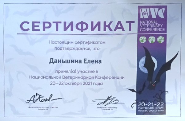 Документ или сертификат