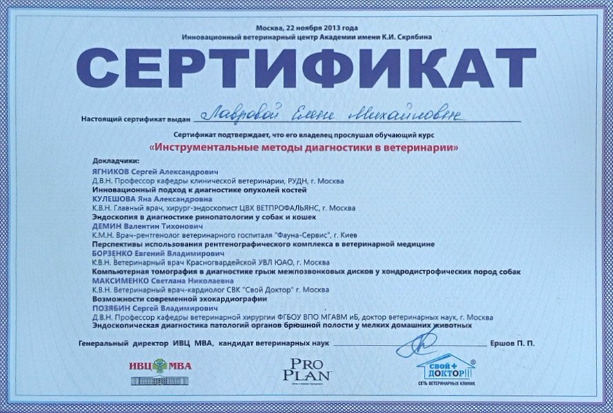 Документ или сертификат