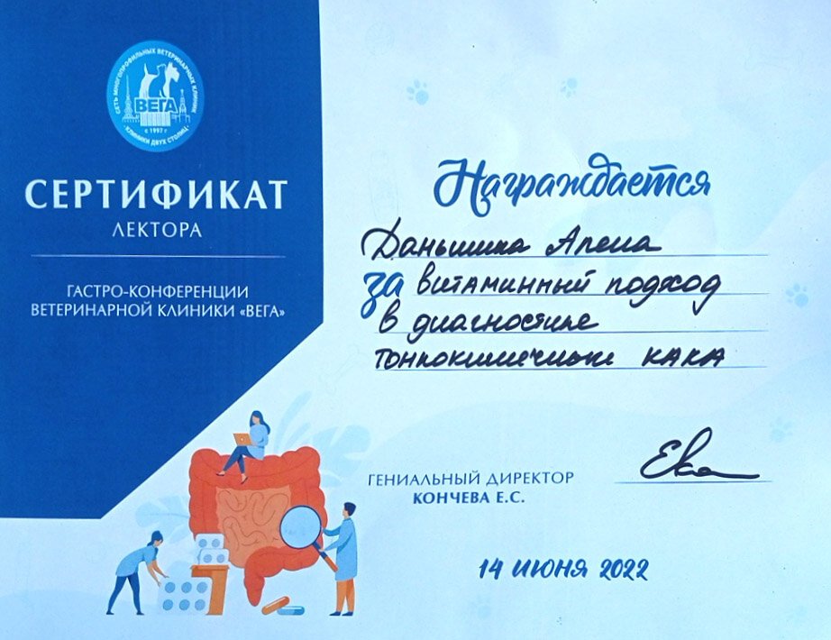Документ или сертификат