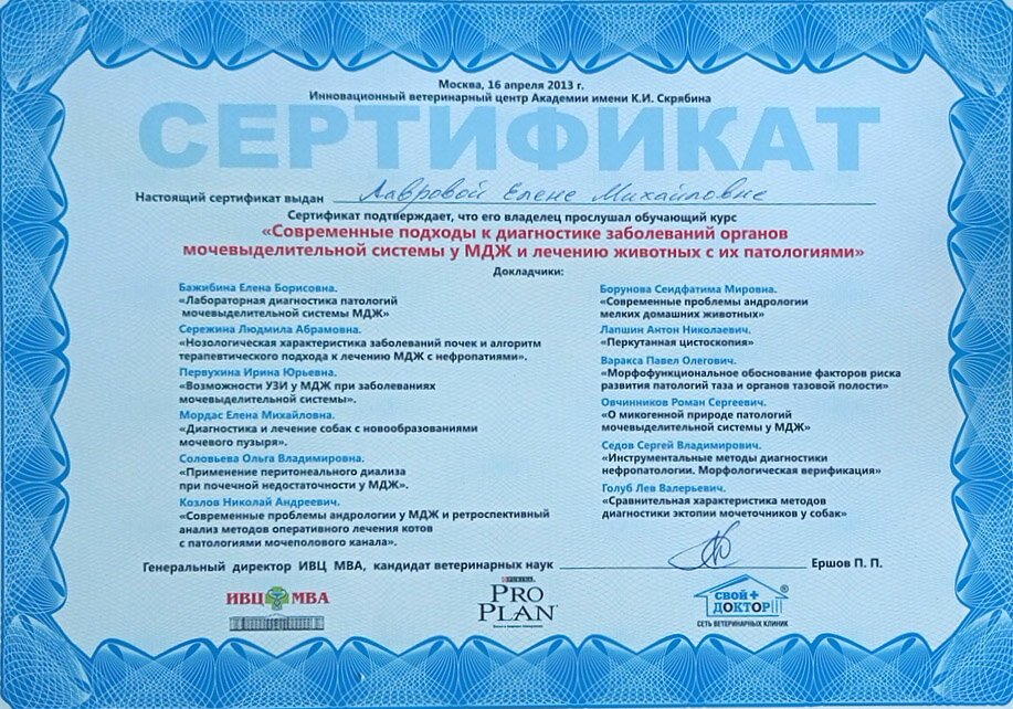 Документ или сертификат