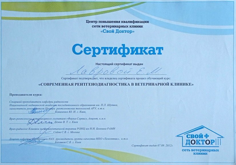 Документ или сертификат