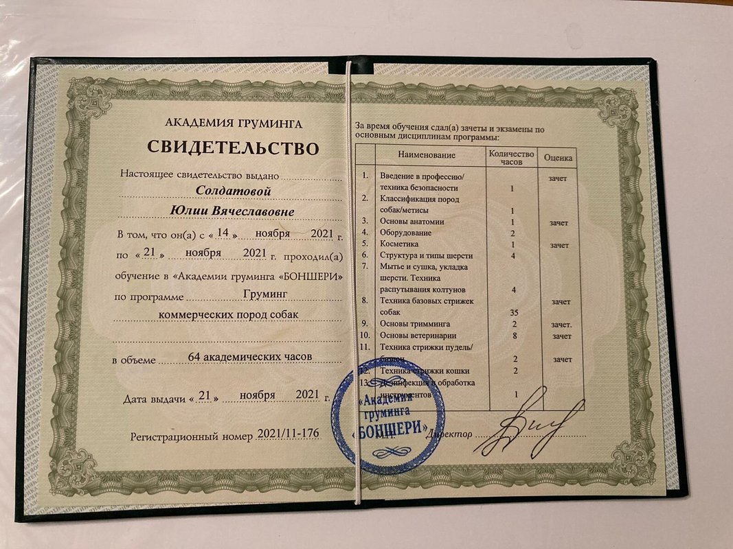 Документ или сертификат
