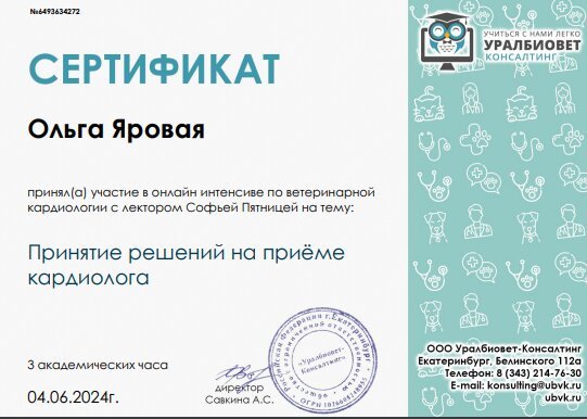 Документ или сертификат