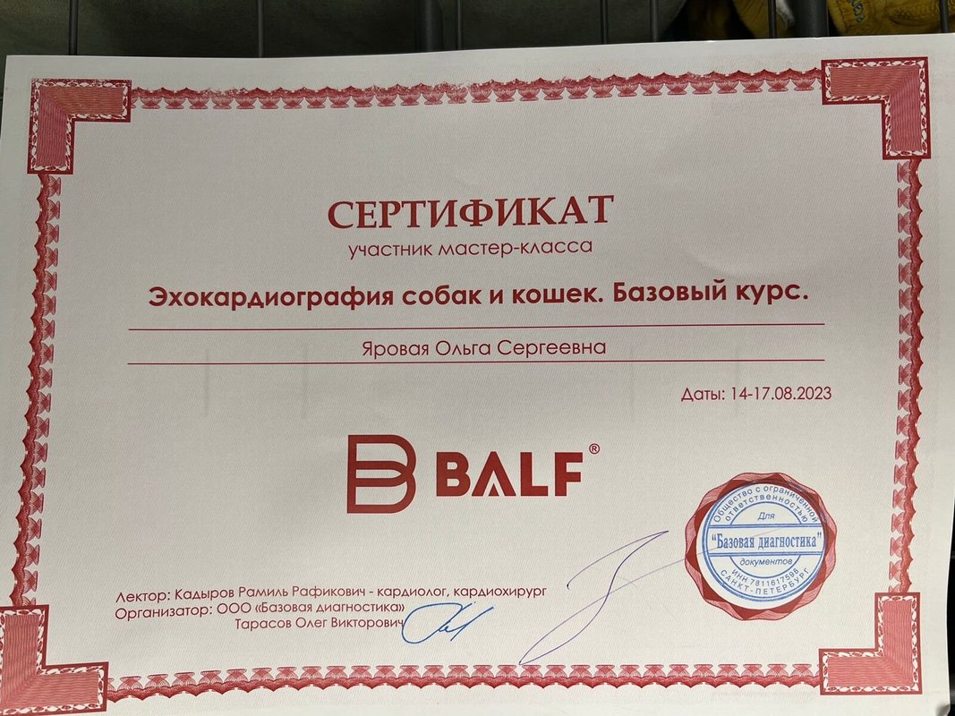 Документ или сертификат