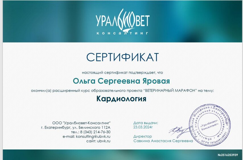Документ или сертификат