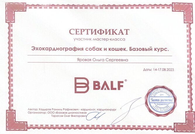 Документ или сертификат
