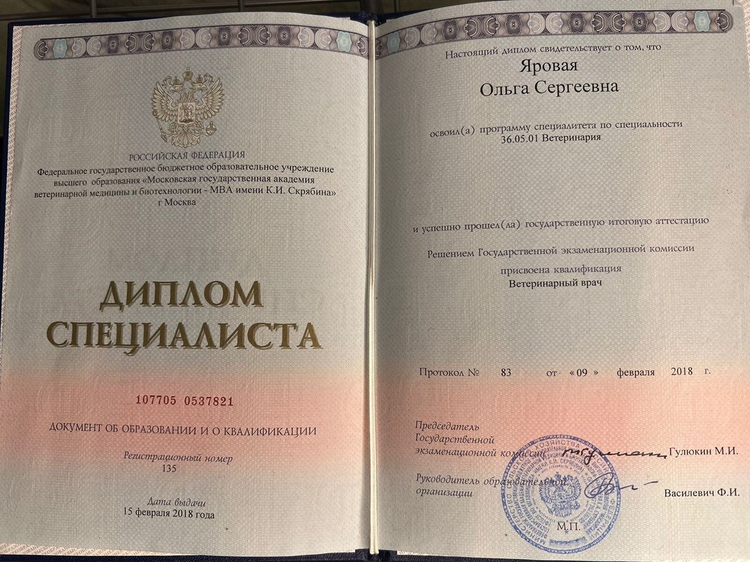 Документ или сертификат