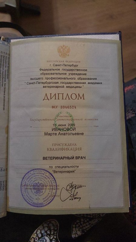 Документ или сертификат