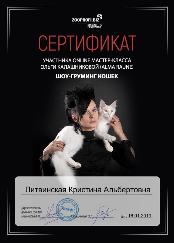 Документ или сертификат
