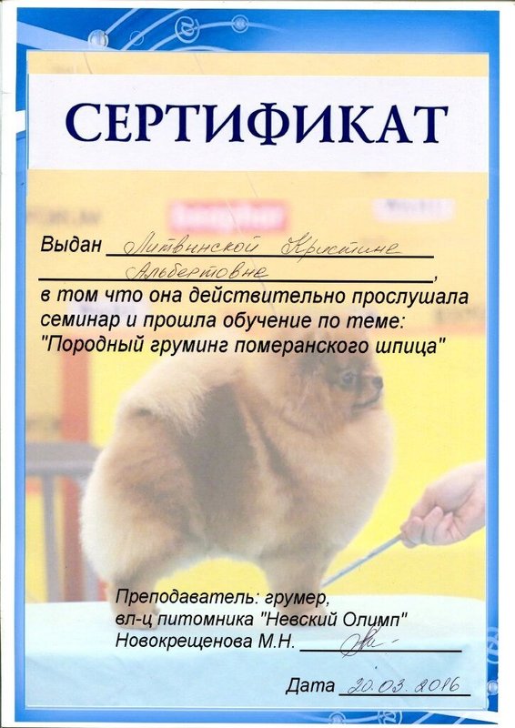 Документ или сертификат