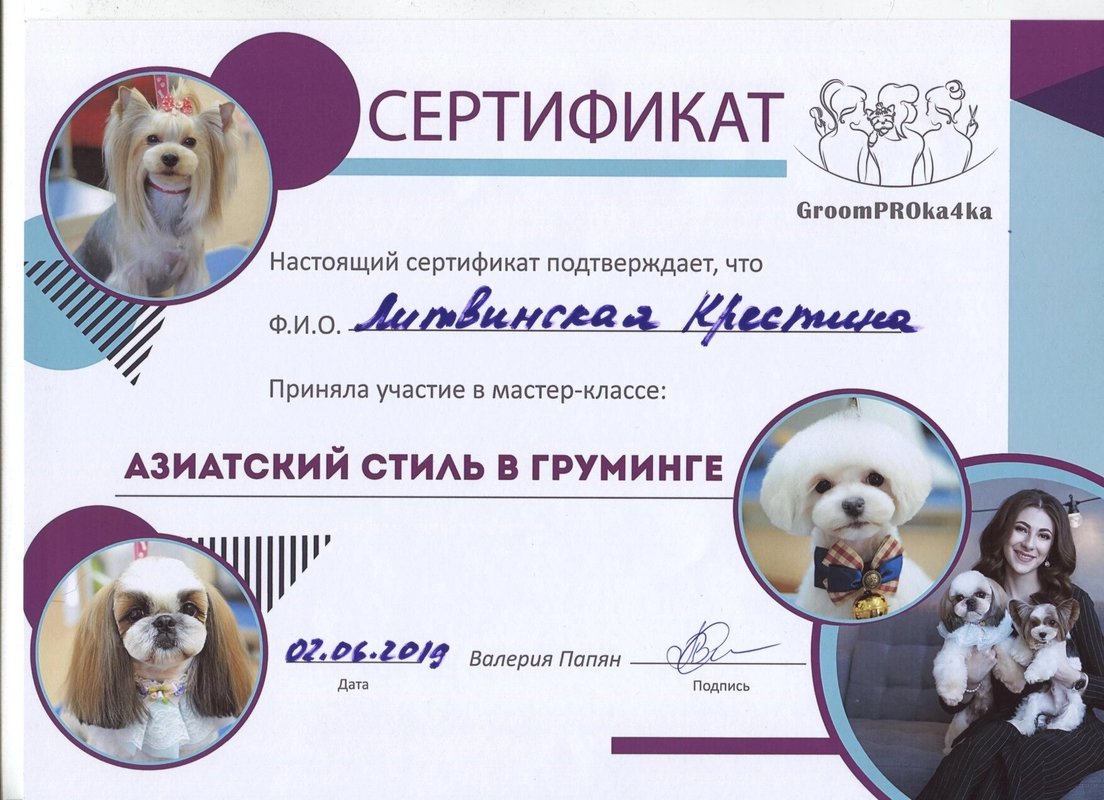 Документ или сертификат