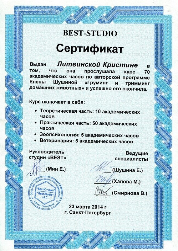 Документ или сертификат