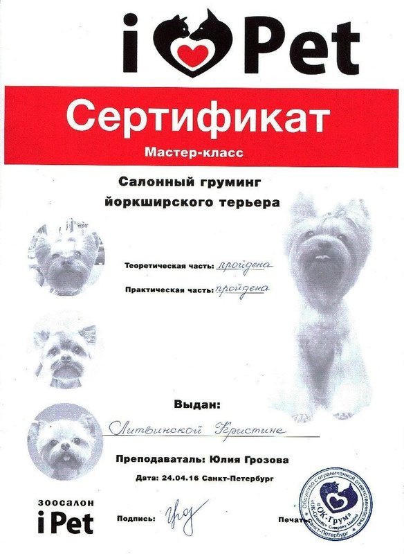 Документ или сертификат
