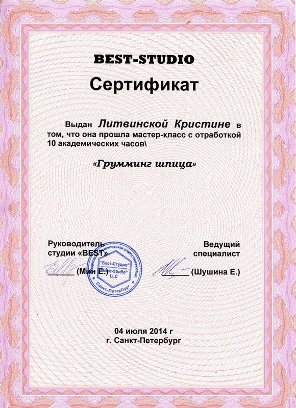 Документ или сертификат