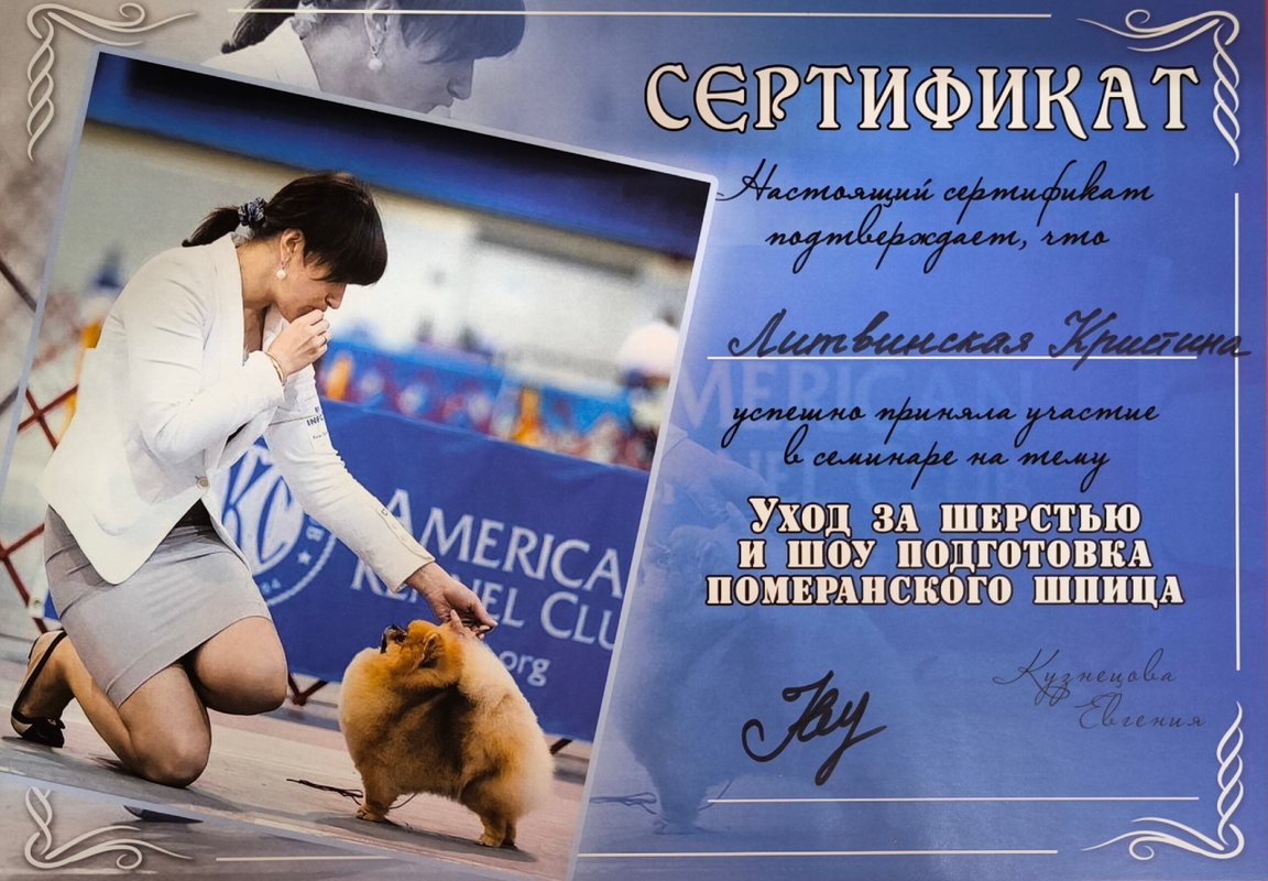 Документ или сертификат