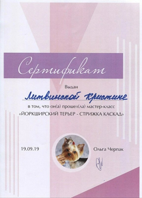 Документ или сертификат
