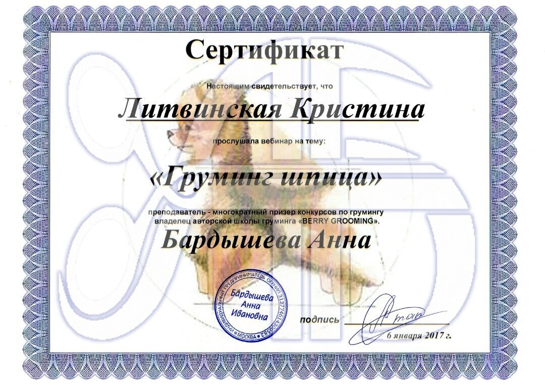 Документ или сертификат