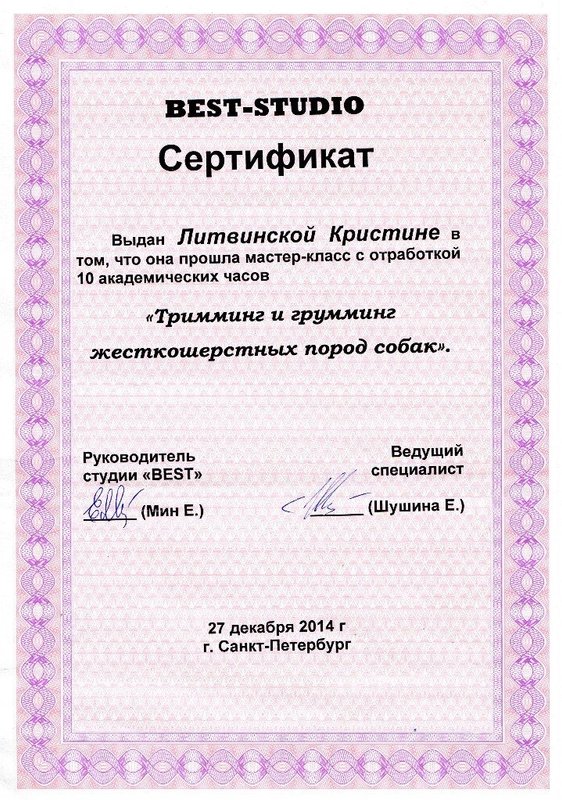Документ или сертификат