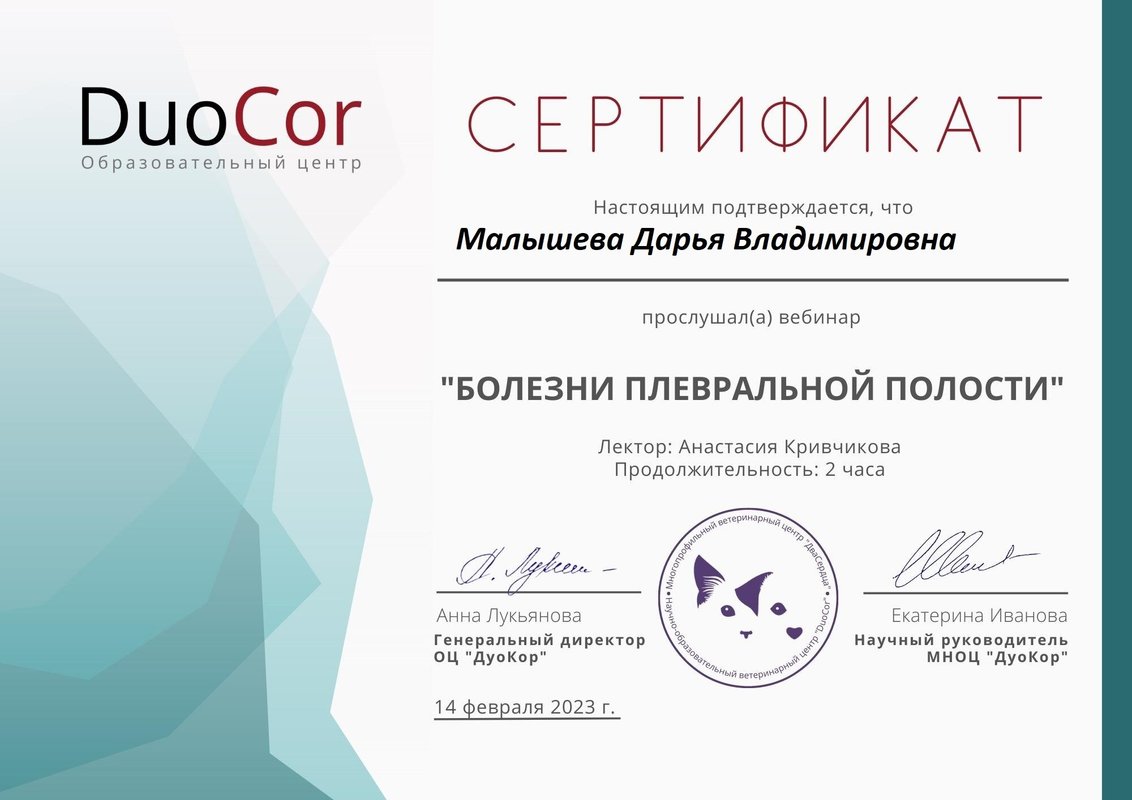 Документ или сертификат