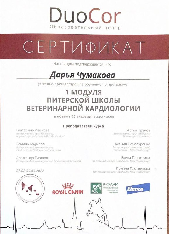 Документ или сертификат