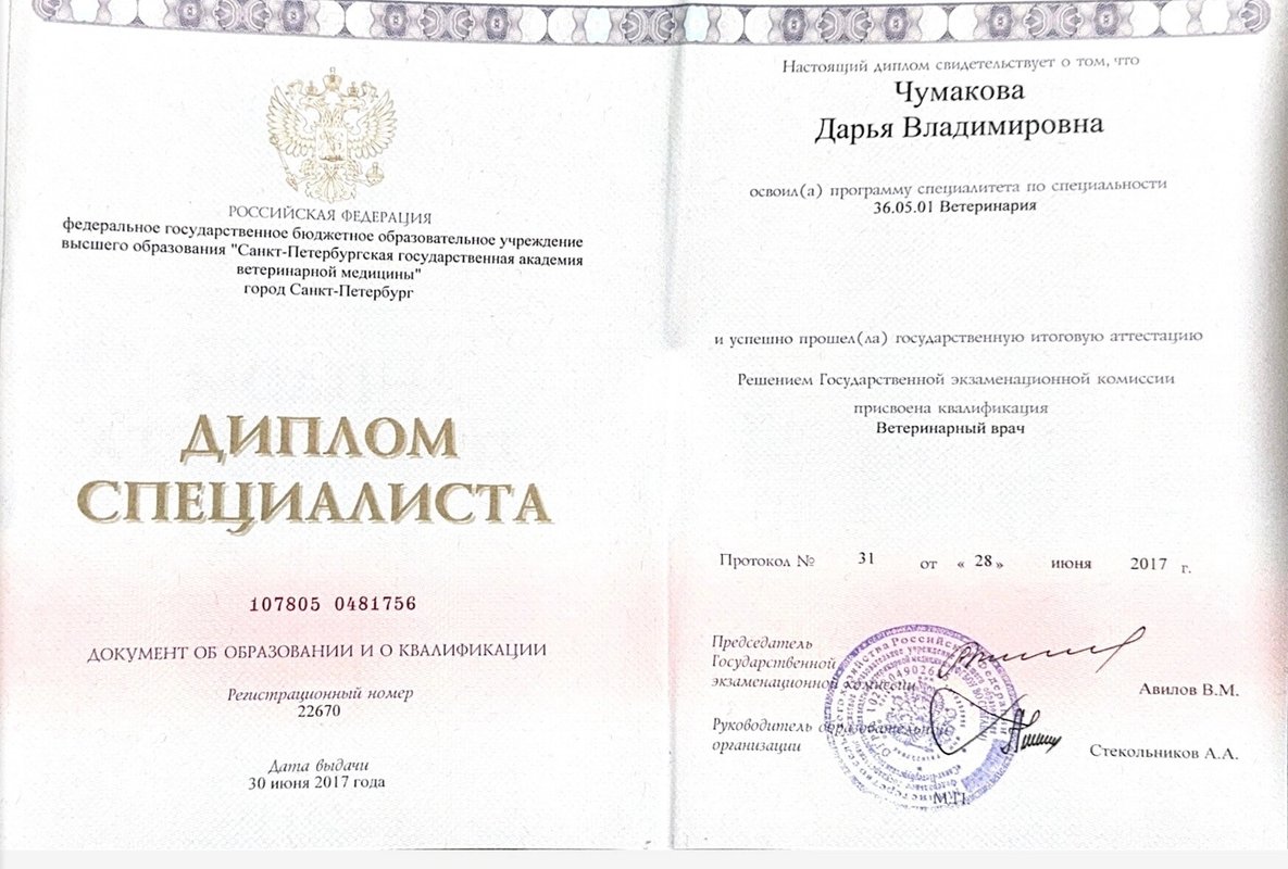 Документ или сертификат