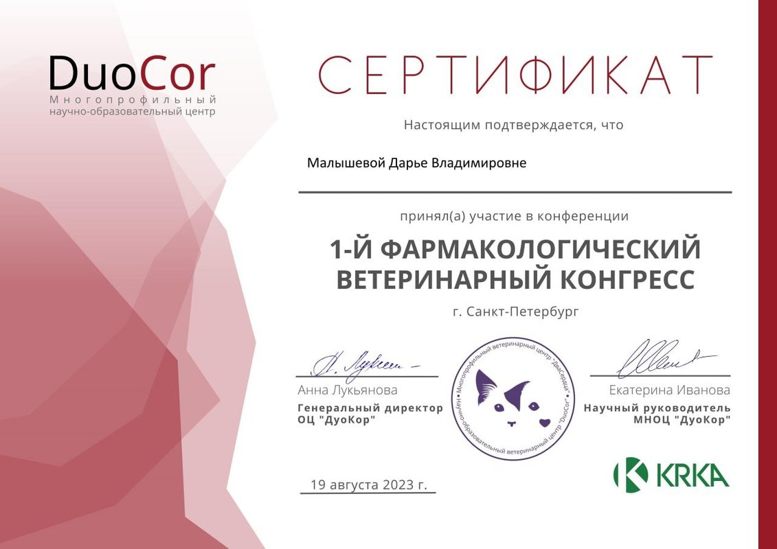 Документ или сертификат