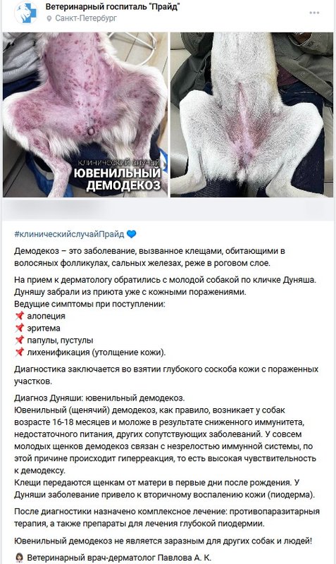 Фото врача