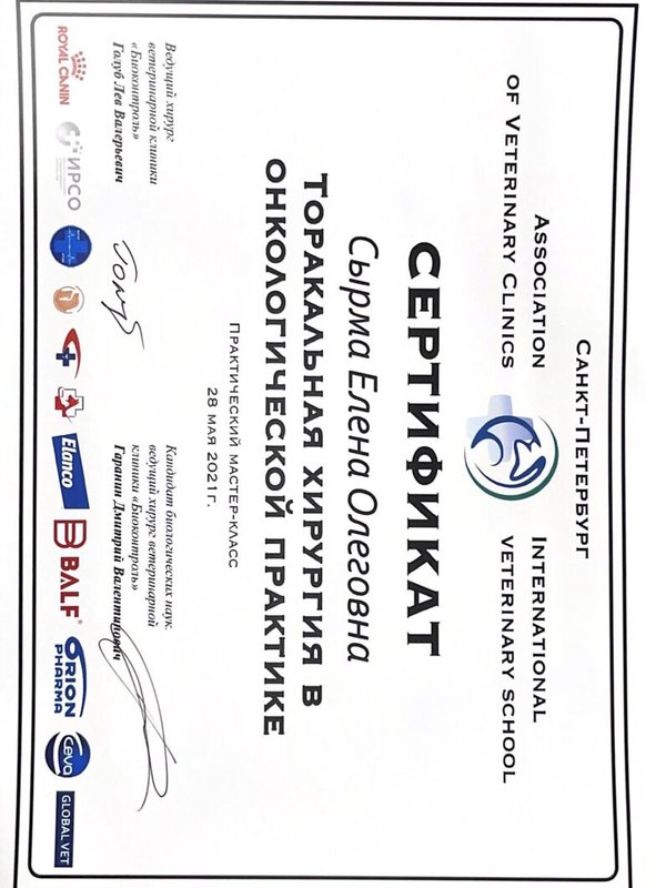 Документ или сертификат